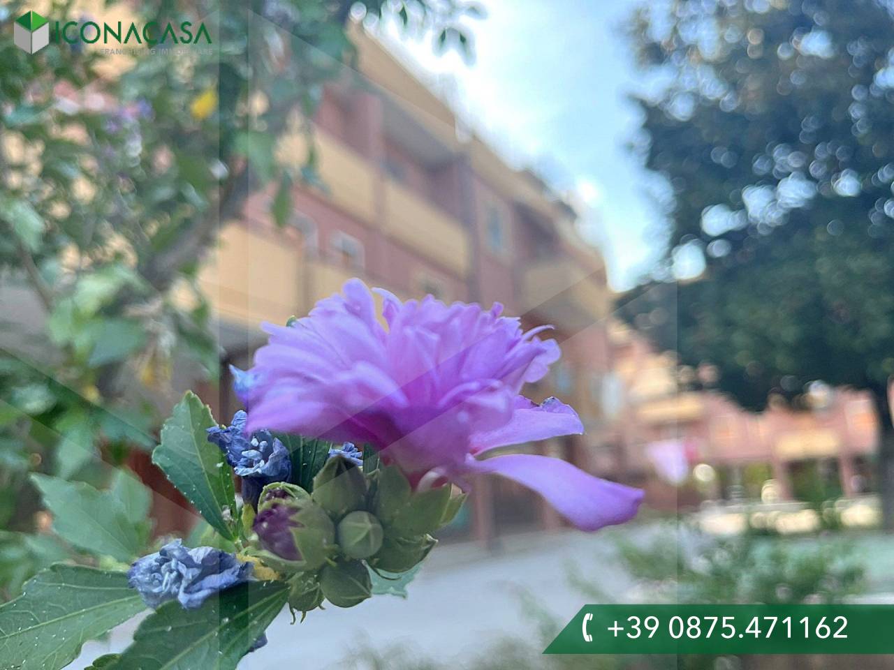 2 rooms Apartment in Campomarino, Italy No. 21672