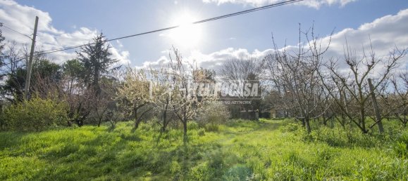 5 rooms House in Cesena, Italy No. 260564 38