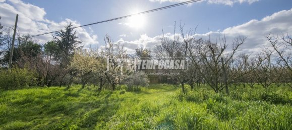 5 rooms House in Cesena, Italy No. 260564 39