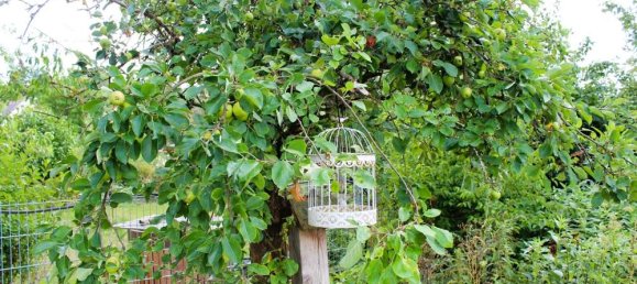 3 chambres Maison à Harz, Germany No. 314923 26