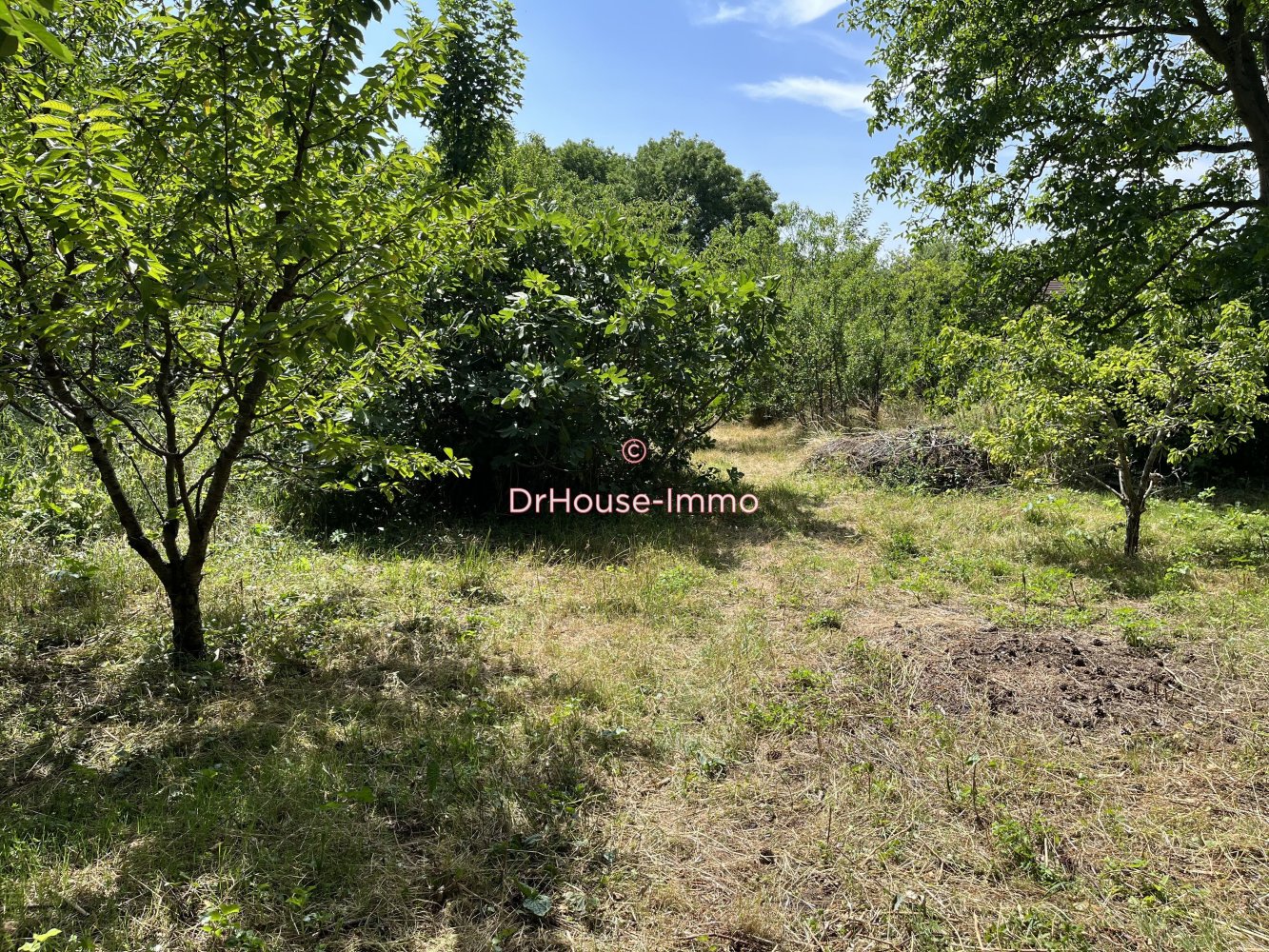 12 bedrooms House in Bussy-Saint-Georges, France No. 165956