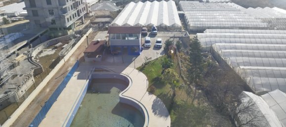 Apartment 2+1 in Alanya, Turkey No. 10691 21