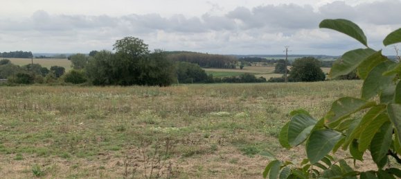 2 Schlafzimmer Haus in Fredille, France, Nr. 249299 10