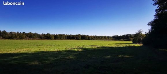  Castillos de 4 dormitorios en Neung-sur-Beuvron, France No. 212970 3