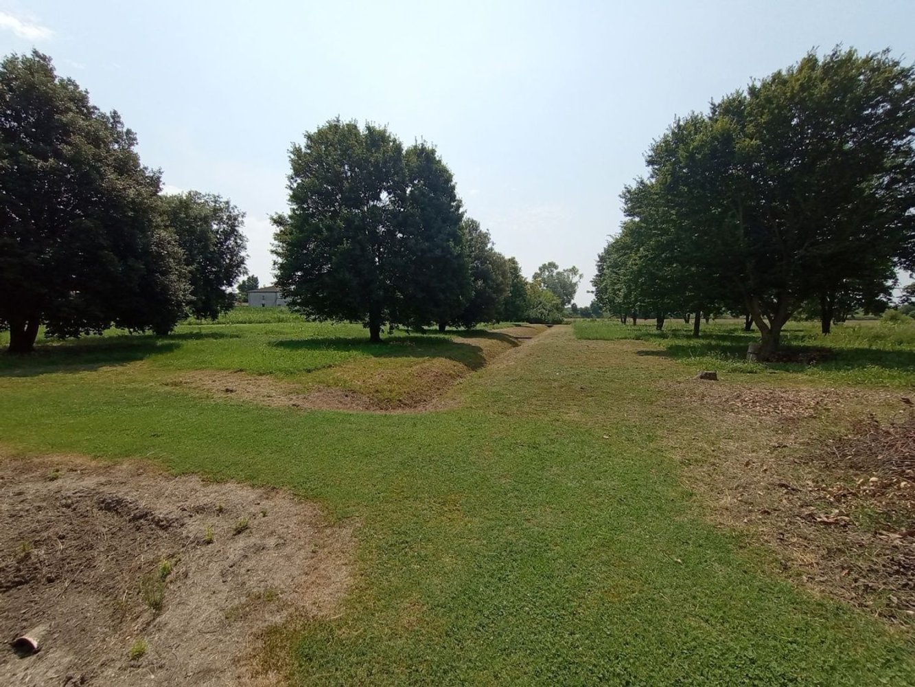  Land in Cavarzere, Italy No. 331755