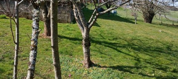  قطعة أرض في Tarn, France رقم 342133 2