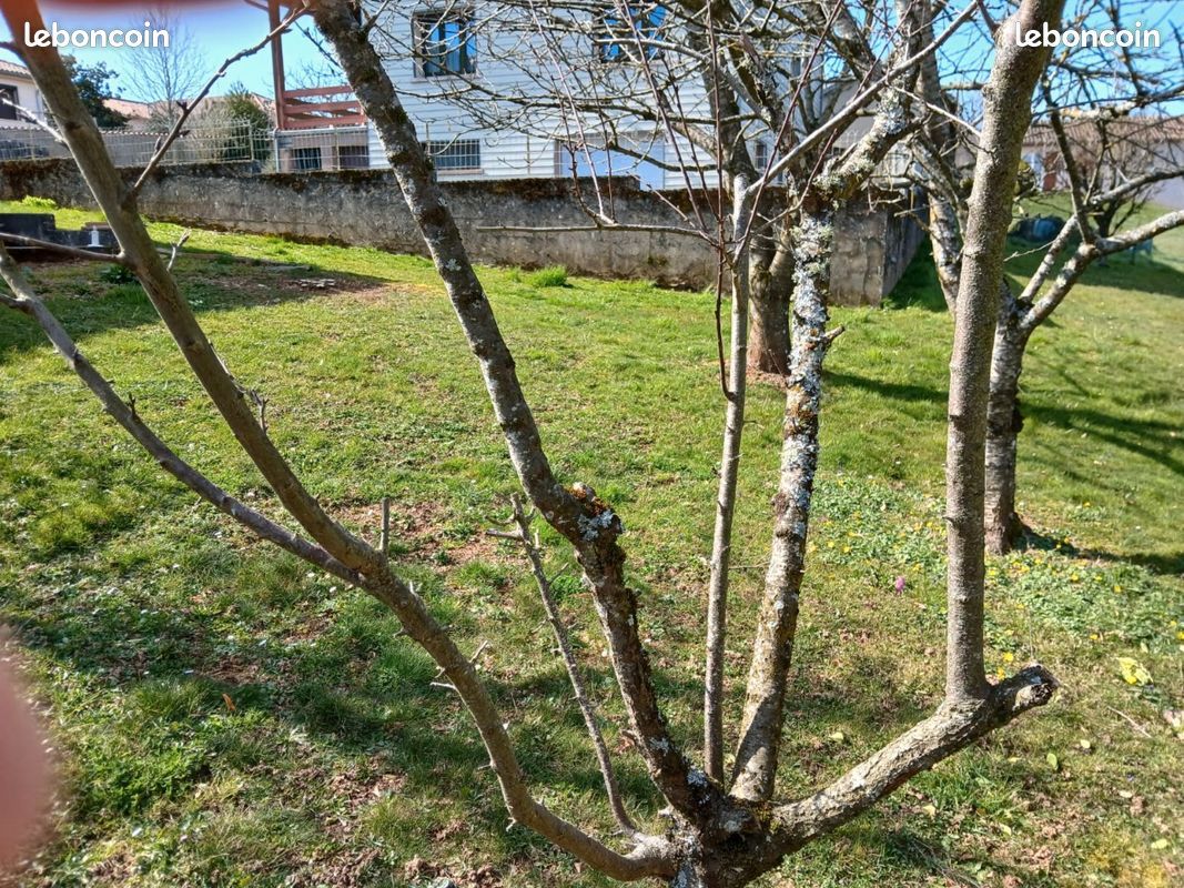  قطعة أرض في Tarn, France رقم 342133