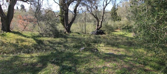 6000m² Hotel in Corfu, Greece No. 5168 3