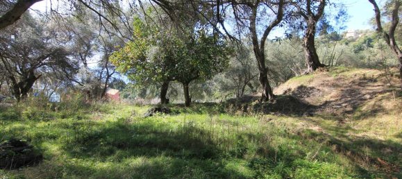 6000m² Hotel in Corfu, Greece No. 5168 4