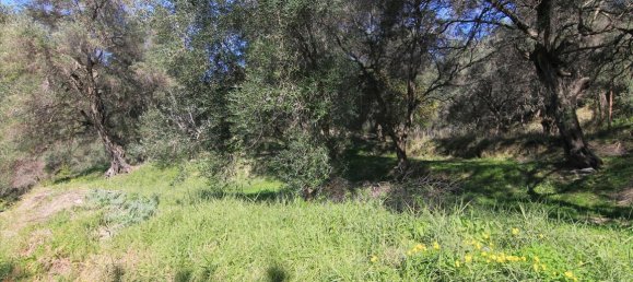 6000m² Hotel in Corfu, Greece No. 5168 2