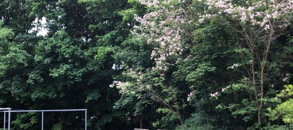 3 bedrooms Apartment in Potsdam, Germany No. 86400 6