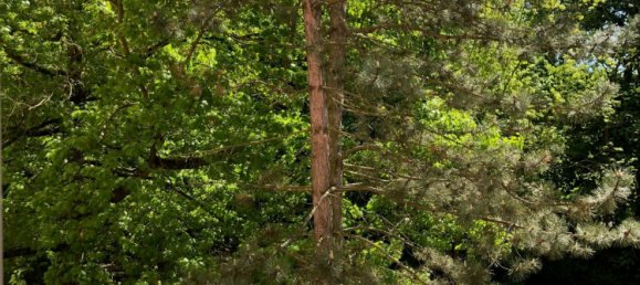 3 bedrooms Apartment in Potsdam, Germany No. 86400 16