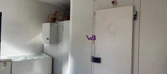 3-Zimmer Gewerbliche Immobilie in Bisamberg, Austria, Nr. 230882 6