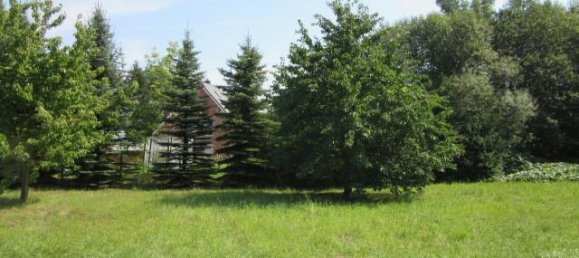  Land in Mittelsachsen, Germany No. 266036 2