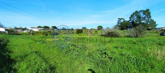 Земельный участок 2682м² в Томар, Португалия № 79578 13