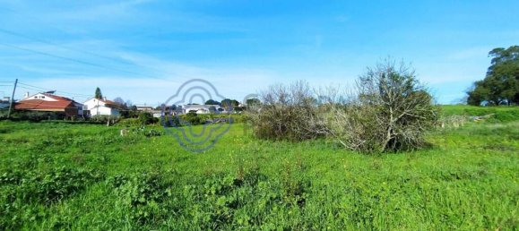 Земельный участок 2682м² в Томар, Португалия № 79578 16