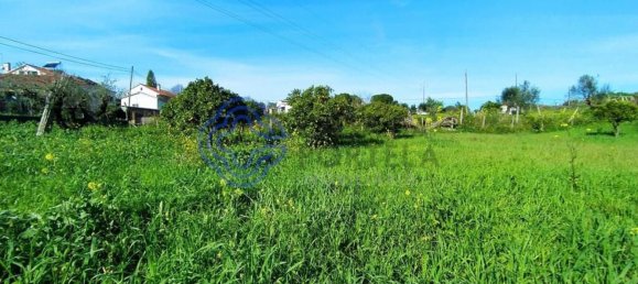 Земельный участок 2682м² в Томар, Португалия № 79578 9