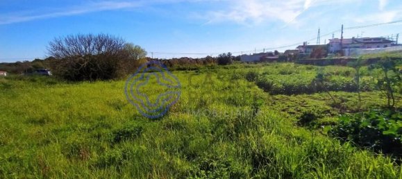 Земельный участок 2682м² в Томар, Португалия № 79578 15