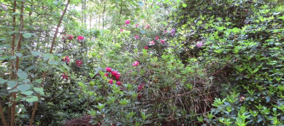 1 bedroom Bungalow in Hanover, Germany No. 321126 6