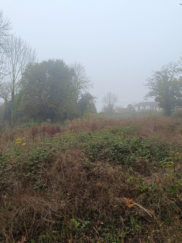 Grundstück in Favrieux, France, Nr. 106805