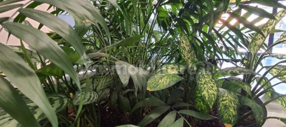 1غرفة عقار تجاري في Lendinara, Italy رقم 55092 8