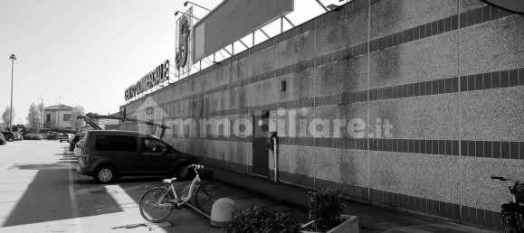 1غرفة عقار تجاري في Lendinara, Italy رقم 55092 15