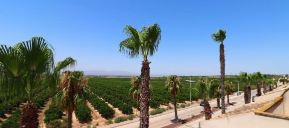 3 chambres Villa à Algorfa, Spain No. 185689 4