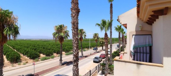 3 chambres Villa à Algorfa, Spain No. 185689 19