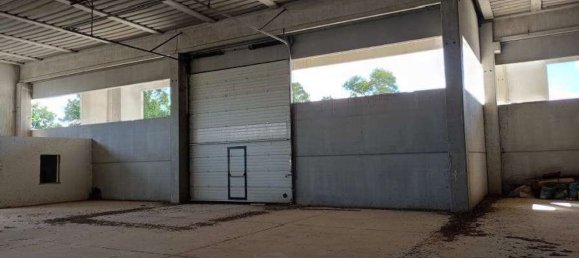  مستودع في Sabaudia, Italy 950متر مربع رقم 47732 6