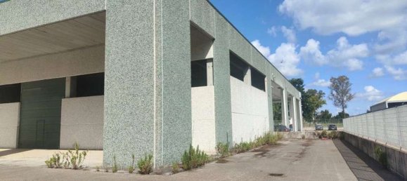  مستودع في Sabaudia, Italy 950متر مربع رقم 47732 13