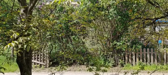 Apartamento de 4 divisões em Trentino-Alto Adige, Italy N.º 263140 11