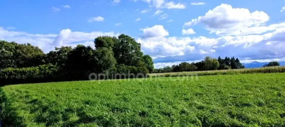 Grundstück in Lecussan, France 4898m², Nr. 100997 3