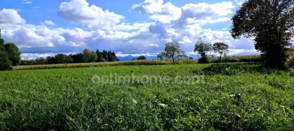 Grundstück in Lecussan, France 4898m², Nr. 100997 5