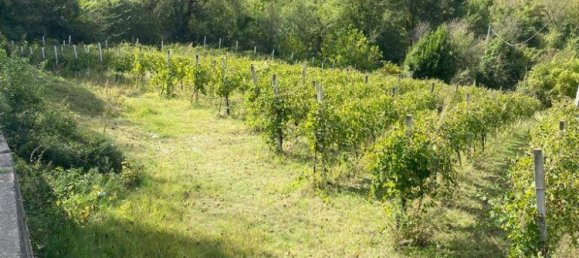 12000m² Land in Petruro Irpino, Italy No. 106534 2