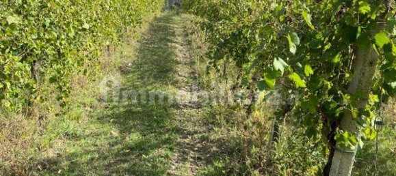 12000m² Land in Petruro Irpino, Italy No. 106534 4