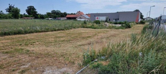 Grundstück in Theresienfeld, Austria 6000m², Nr. 15061 7