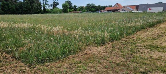 Grundstück in Theresienfeld, Austria 6000m², Nr. 15061 2