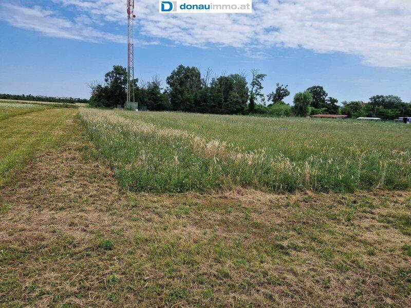 Grundstück in Theresienfeld, Austria 6000m², Nr. 15061