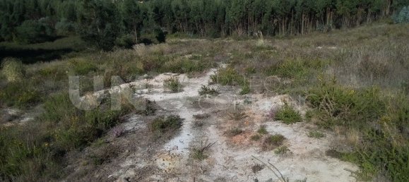 26855m² Land in Torres Vedras, Portugal No. 68323 4