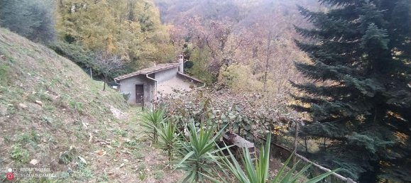 3 rooms House in Stazzema, Italy No. 226599 8