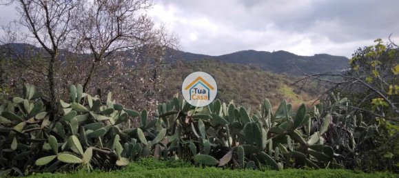 Terreno en Santa Catarina da Fonte do Bispo, Portugal 572 m² No. 73415 27