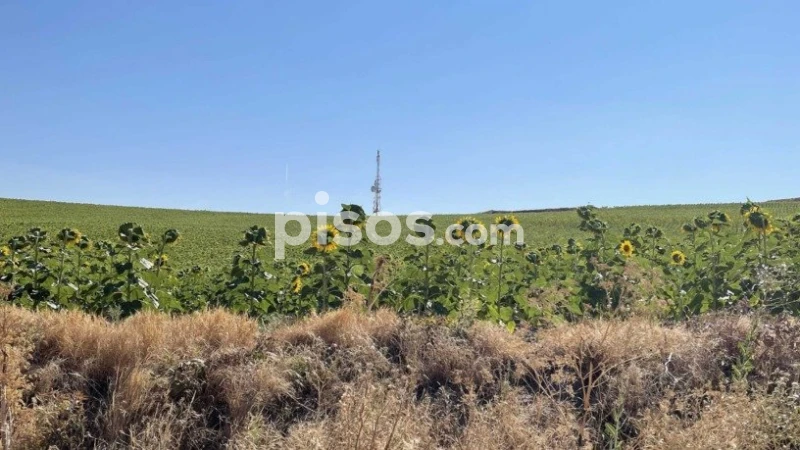 Grundstück in Burgos, Spain 16778m², Nr. 113659