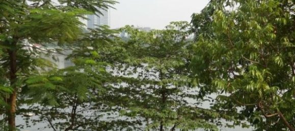 Studio in Tay Ho, Vietnam No. 4979 3