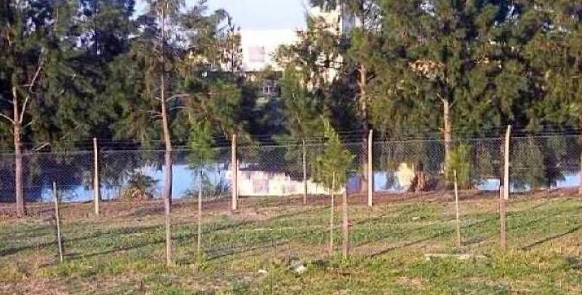 Дом с 3 спальнями в Тигре, Аргентина № 55657