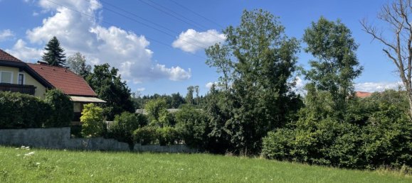 Земельный участок в Вельс, Австрия № 39756 2