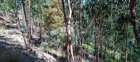 14000m² Land in Gove, Portugal No. 59378 5