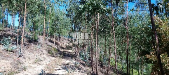 14000m² Land in Gove, Portugal No. 59378 14