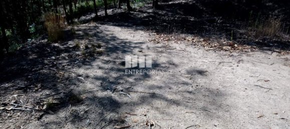 14000m² Land in Gove, Portugal No. 59378 8