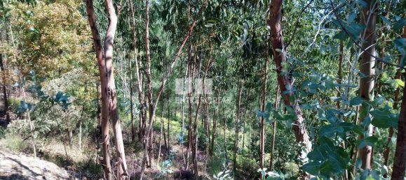 14000m² Land in Gove, Portugal No. 59378 6