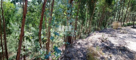 14000m² Land in Gove, Portugal No. 59378 12